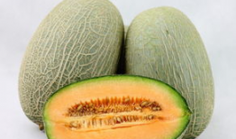 龋齿可以吃哈密瓜,龋齿患者的甜蜜选择