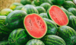 石埠吃瓜视频,揭秘网络热点背后的真相与笑料